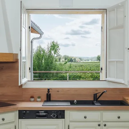 Logis De Belle Rive Saint-Sulpice-de-Faleyrens