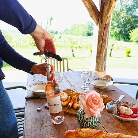 Logis De Belle Rive * Saint-Sulpice-de-Faleyrens