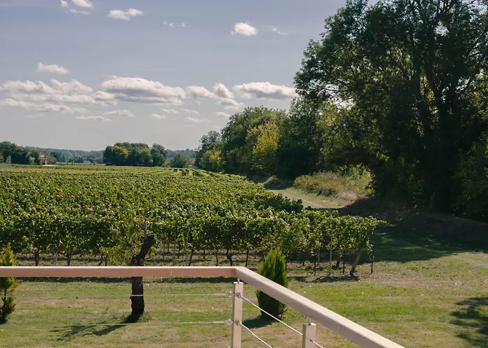 Logis De Belle Rive Saint-Sulpice-de-Faleyrens