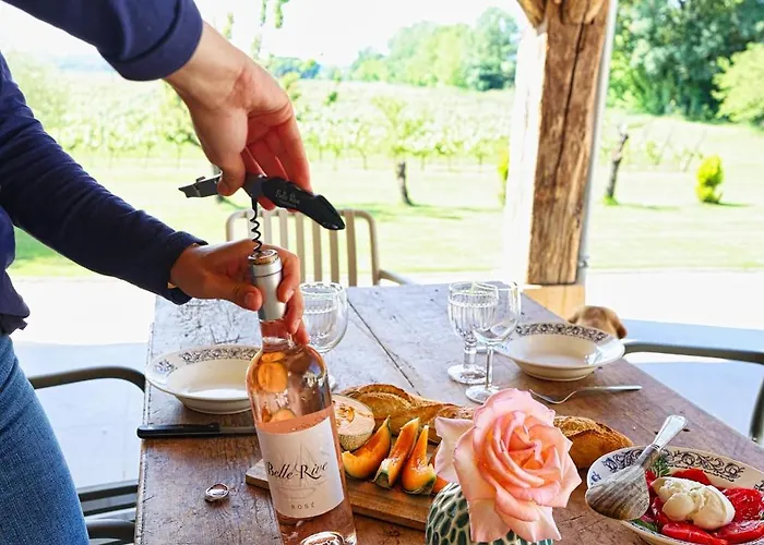 Logis De Belle Rive * Saint-Sulpice-de-Faleyrens